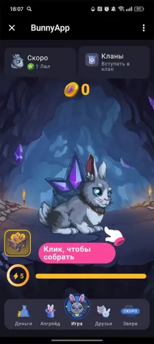 BunnyApp