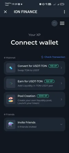 ION FINANCE
