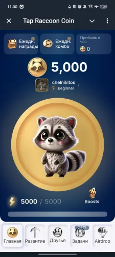 Tap Raccoon Coin