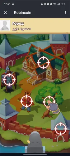 Robincoin