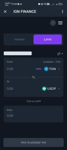 ION FINANCE