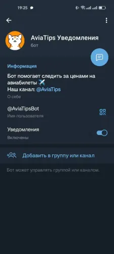 AviaTips Alerts