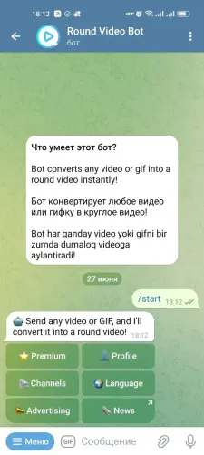 Round Video Bot