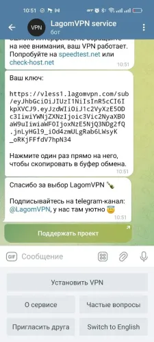 LagomVPN service